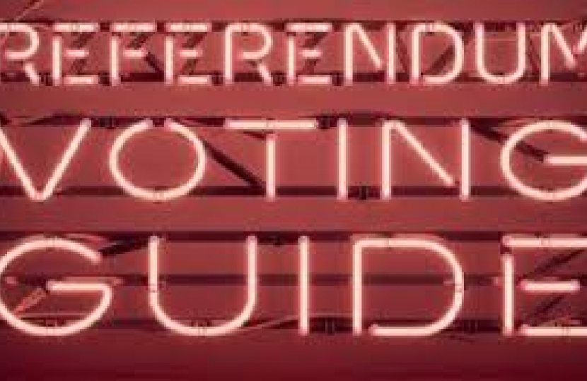 Referendum Voting Guide